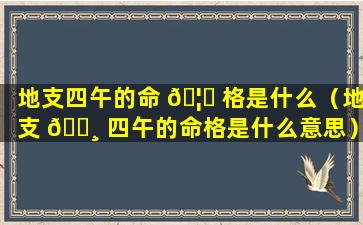 地支四午的命 🦅 格是什么（地支 🕸 四午的命格是什么意思）